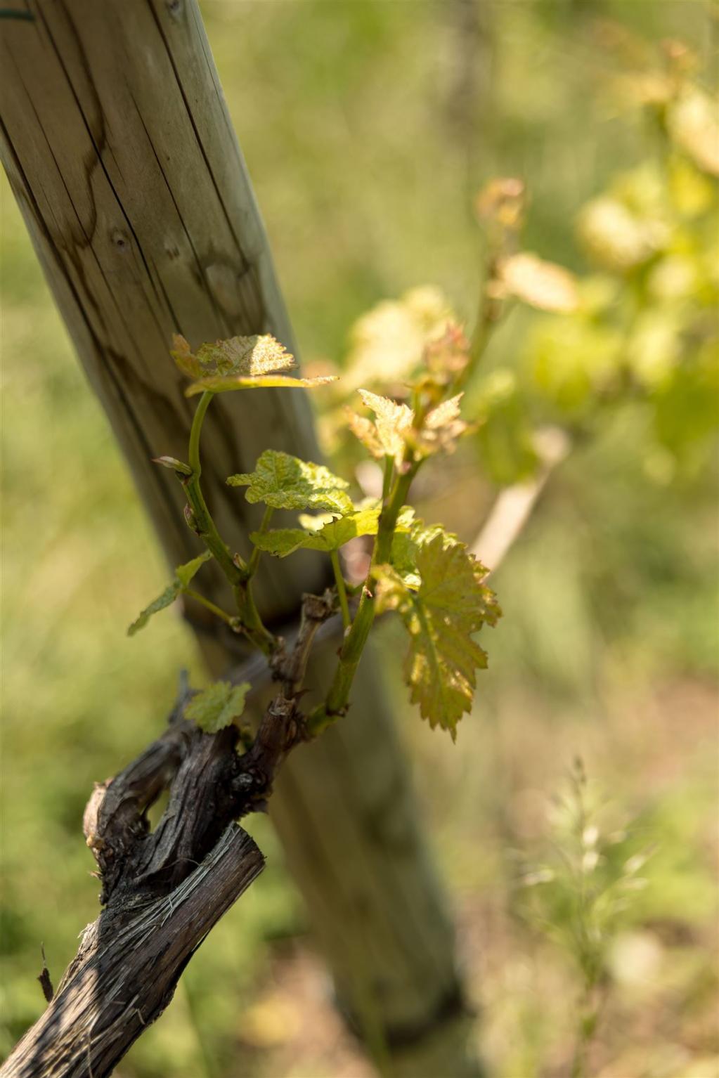 Planetencode Hinweis und Kontakt